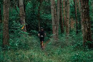 BIB: 
                            <button type="button" onclick="openModal(25237857)" class="btn btn-primary btn-sm float-right btn-popup" data-toggle="modal" data-target=".modal-high-quality">
                        <i class="fas fa-shopping-cart"></i> Add to Cart
                    </button>
                                            <button type="button" onclick="isThisMe(25237857, true)" class="btn btn-success btn-sm float-right btn-popup btn-isme hidden" data-toggle="tooltip" data-placement="bottom" title="นี่คือรูปของคุณใช่ไหม คลิกที่นี่เพื่อเอาเข้าอัลบั้ม">
                        <i class="fas fa-plus"></i> Add to album
                    </button>
                    <button type="button" onclick="isThisMe(25237857, false)" class="btn btn-warning btn-sm float-right btn-popup btn-isnotme hidden">
                        <i class="fas fa-ban"></i> Remove from album
                    </button>